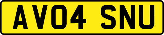 AV04SNU