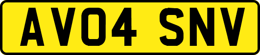 AV04SNV