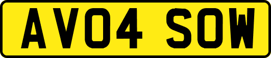 AV04SOW