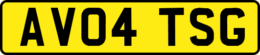 AV04TSG