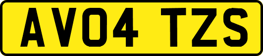 AV04TZS