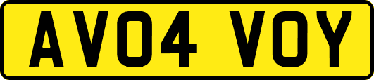 AV04VOY