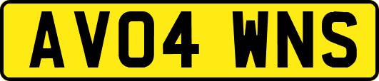 AV04WNS