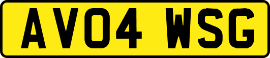 AV04WSG