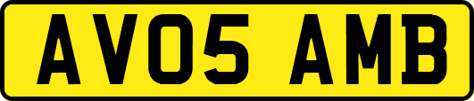 AV05AMB