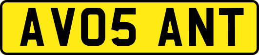 AV05ANT