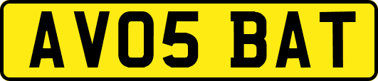 AV05BAT