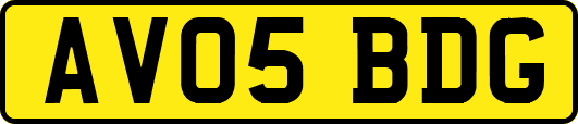 AV05BDG