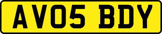 AV05BDY
