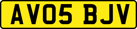 AV05BJV