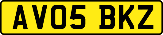 AV05BKZ