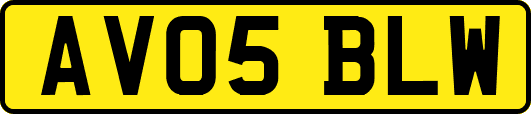 AV05BLW