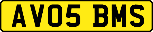 AV05BMS