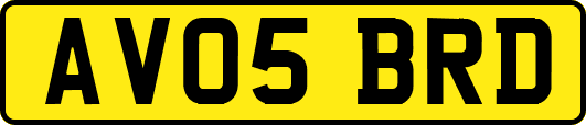 AV05BRD