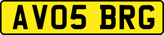 AV05BRG