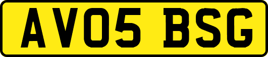 AV05BSG