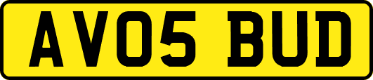 AV05BUD