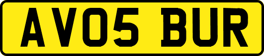 AV05BUR