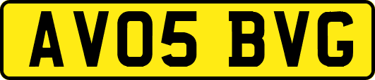 AV05BVG