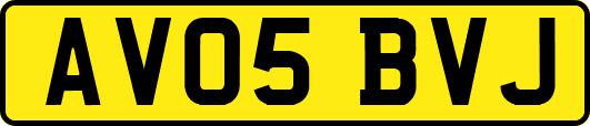 AV05BVJ