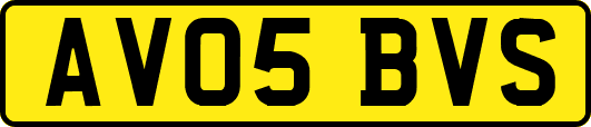 AV05BVS