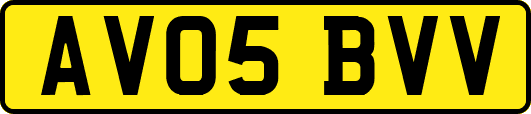 AV05BVV