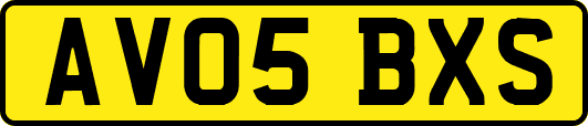 AV05BXS