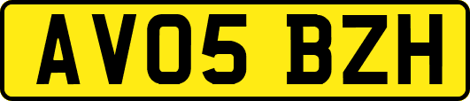 AV05BZH