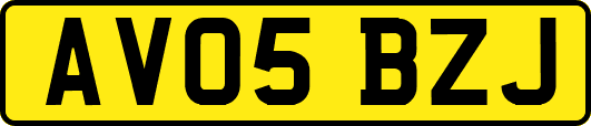 AV05BZJ