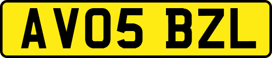 AV05BZL