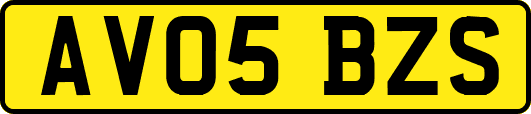 AV05BZS