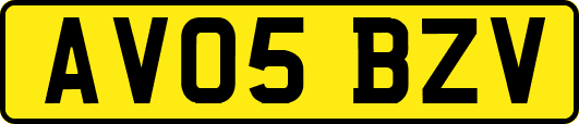 AV05BZV