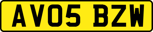 AV05BZW