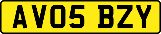 AV05BZY
