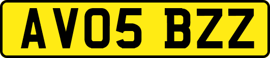 AV05BZZ