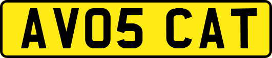 AV05CAT