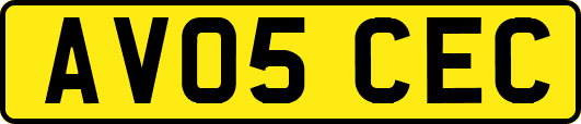 AV05CEC