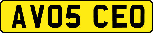 AV05CEO