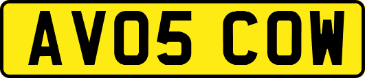 AV05COW