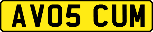 AV05CUM