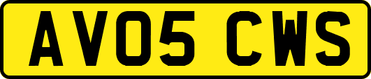 AV05CWS
