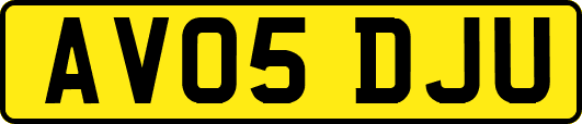 AV05DJU