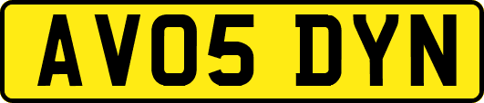 AV05DYN