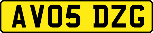 AV05DZG