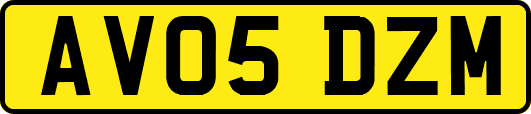 AV05DZM
