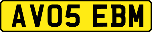 AV05EBM