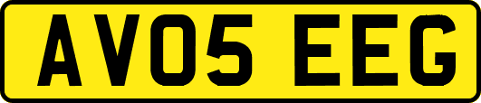 AV05EEG