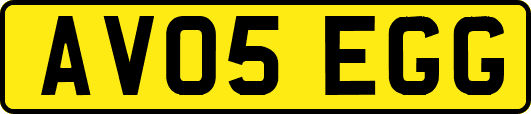 AV05EGG
