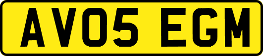AV05EGM