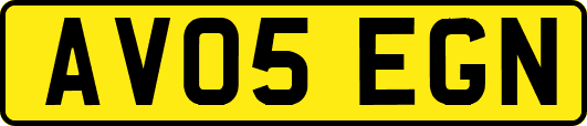 AV05EGN